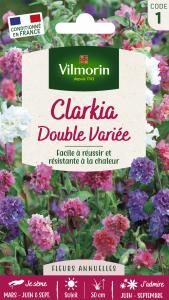 Clarkia Variée